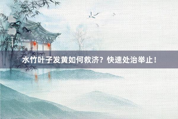 水竹叶子发黄如何救济？快速处治举止！