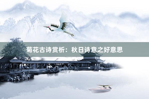 菊花古诗赏析：秋日诗意之好意思